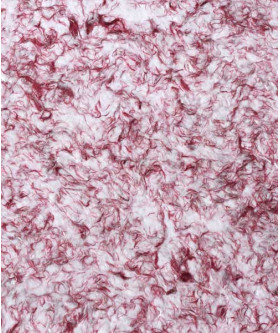 Жидкие обои 910, Bioplast, красный